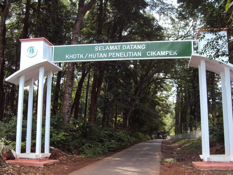 Taman Hutan Kota Cikampek
