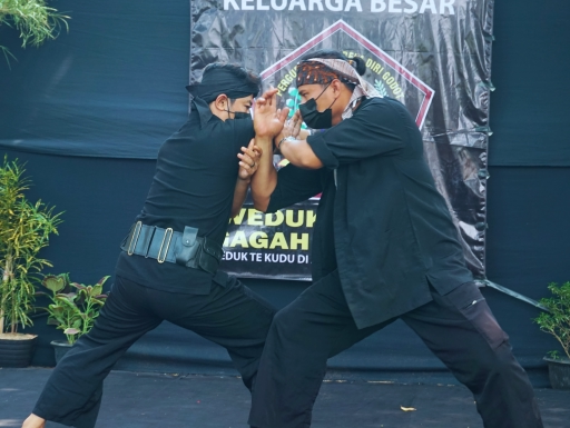 Silat Godot