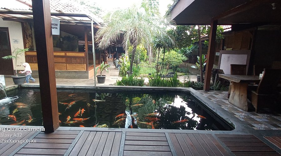 Kolam Ikan